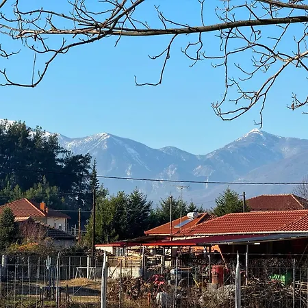 Feriehus Mountain View